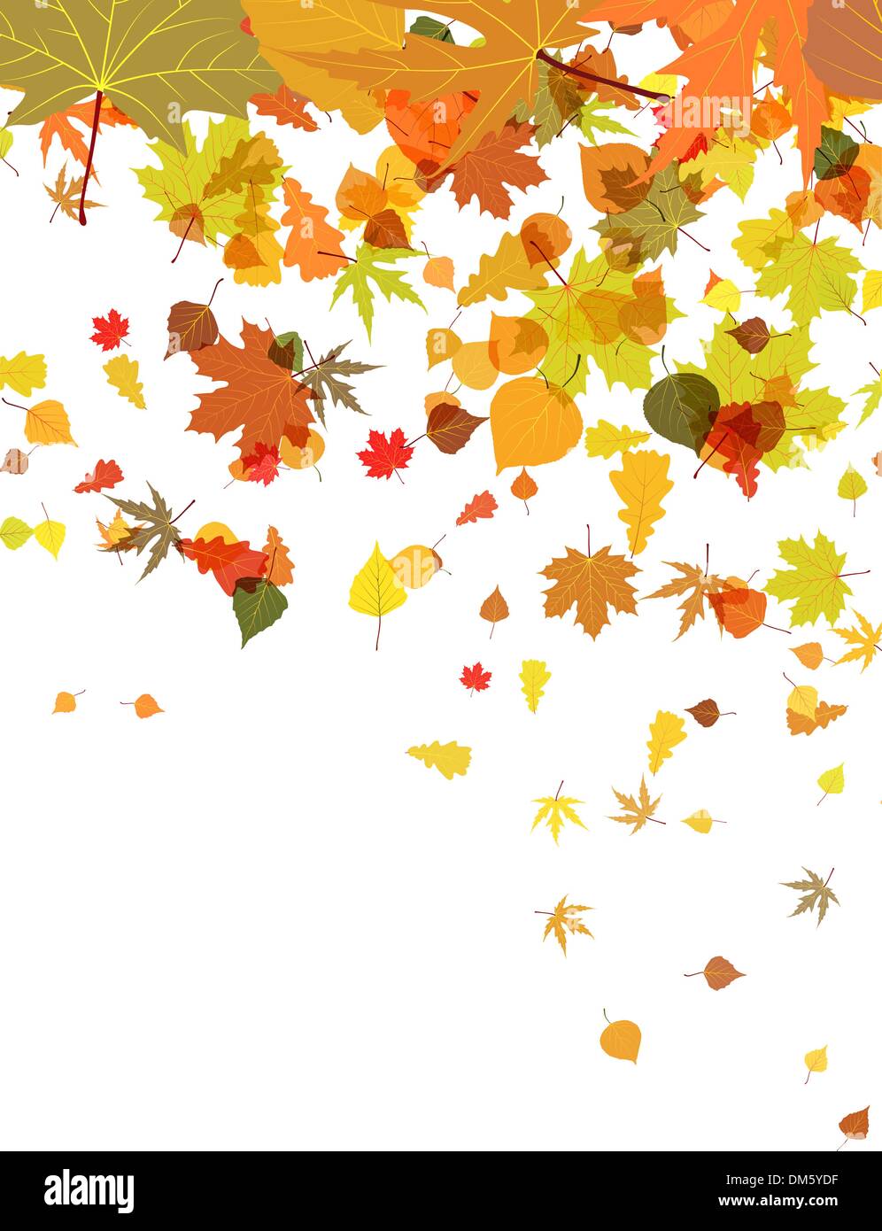 Carte d'automne de feuilles multicolores lumineux. Illustration de Vecteur