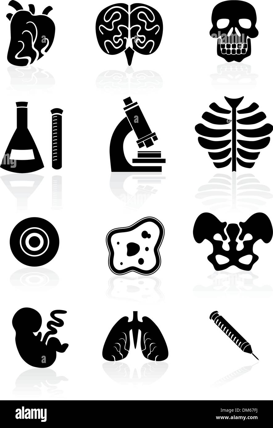 Biologie Icon Set - Noir Illustration de Vecteur