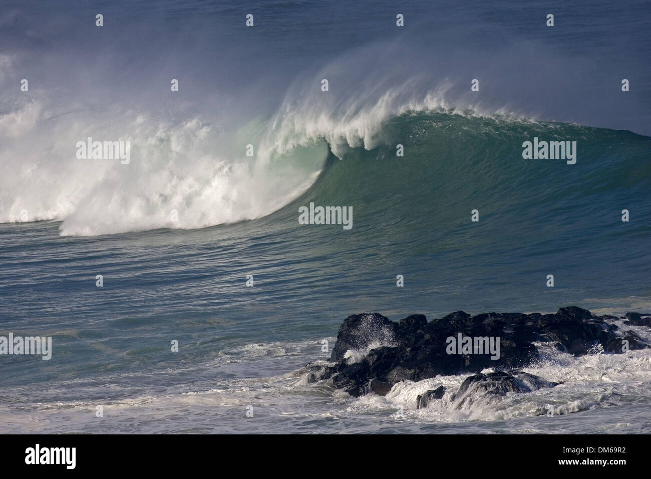 Déc 15, 2004 ; Waimea Bay, HI, USA ; gaucher au Quiksilver Eddie Aikau Big Wave Invitational contest. Banque D'Images