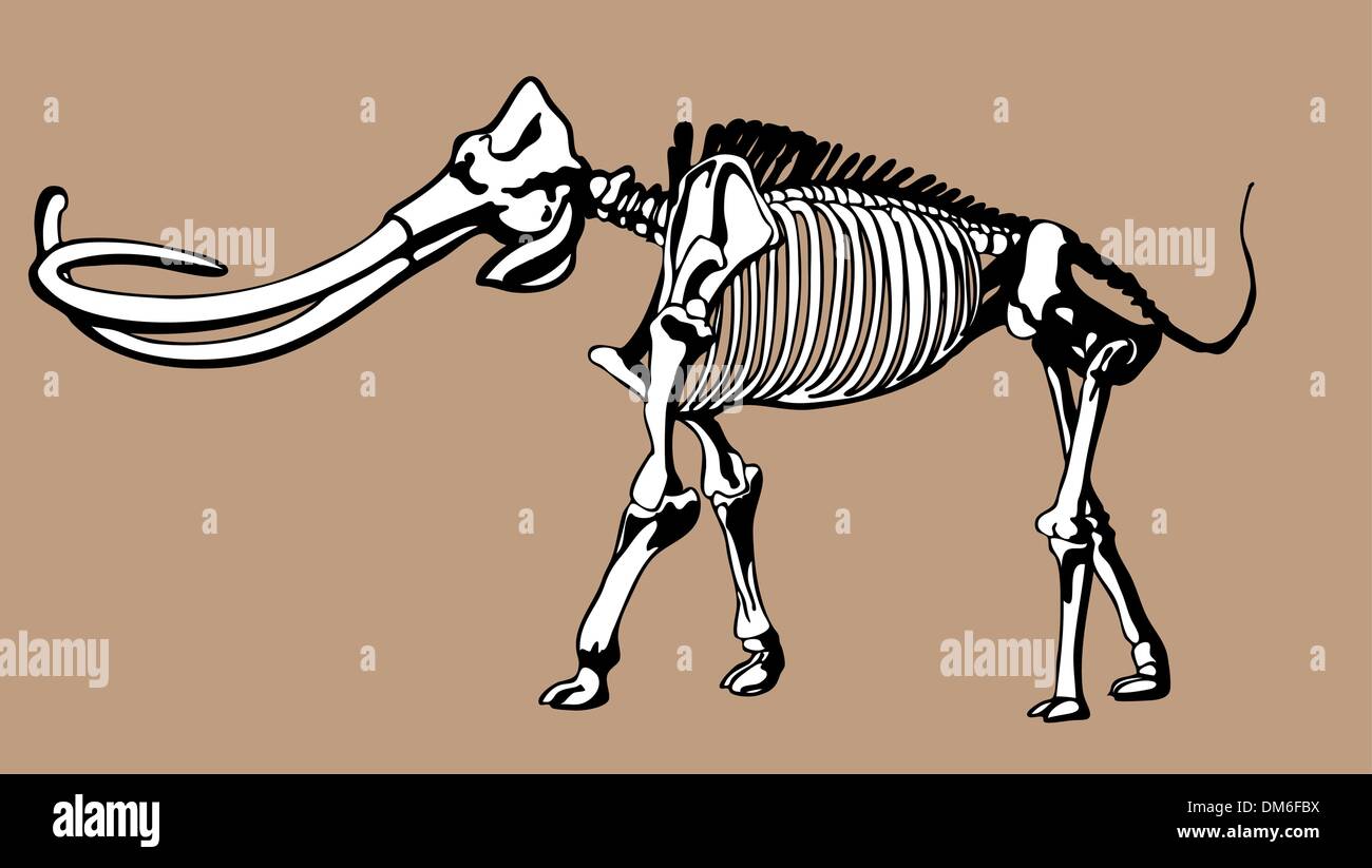 OS de mammouth Illustration de Vecteur