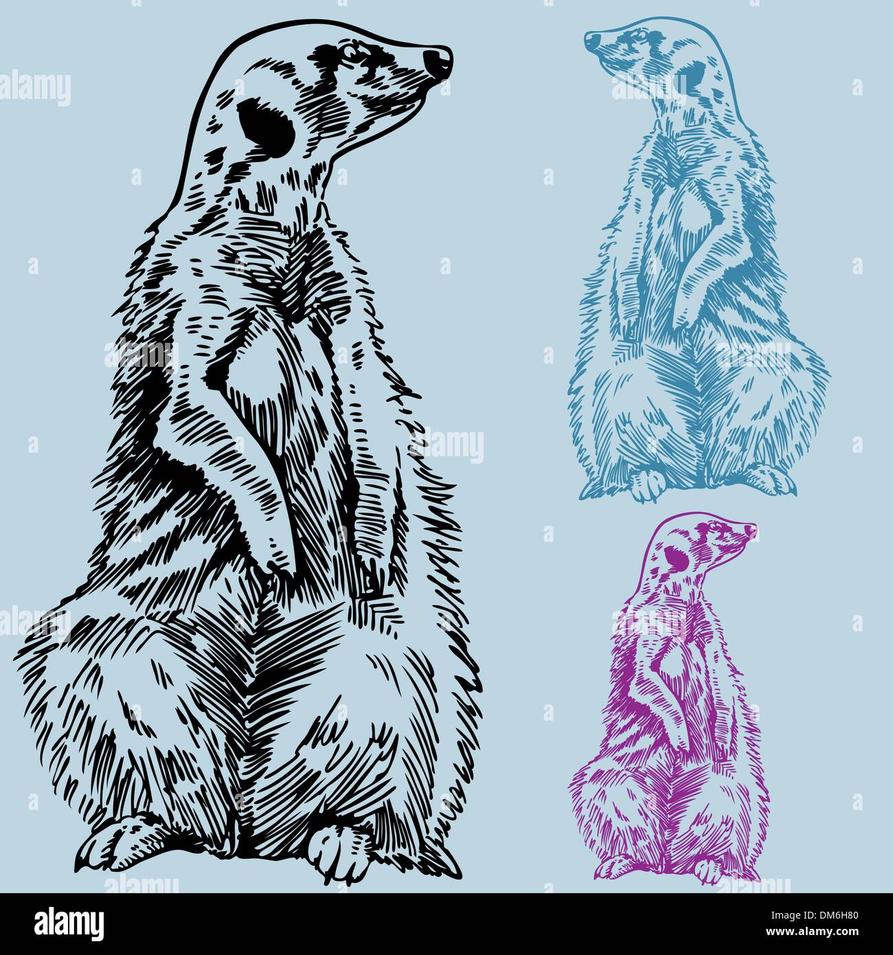 Meerkat Illustration de Vecteur