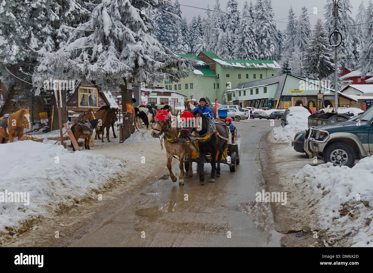 Horse riding club à Borovets resort. Montagne de Rila, Bulgarie. Un panier. Banque D'Images