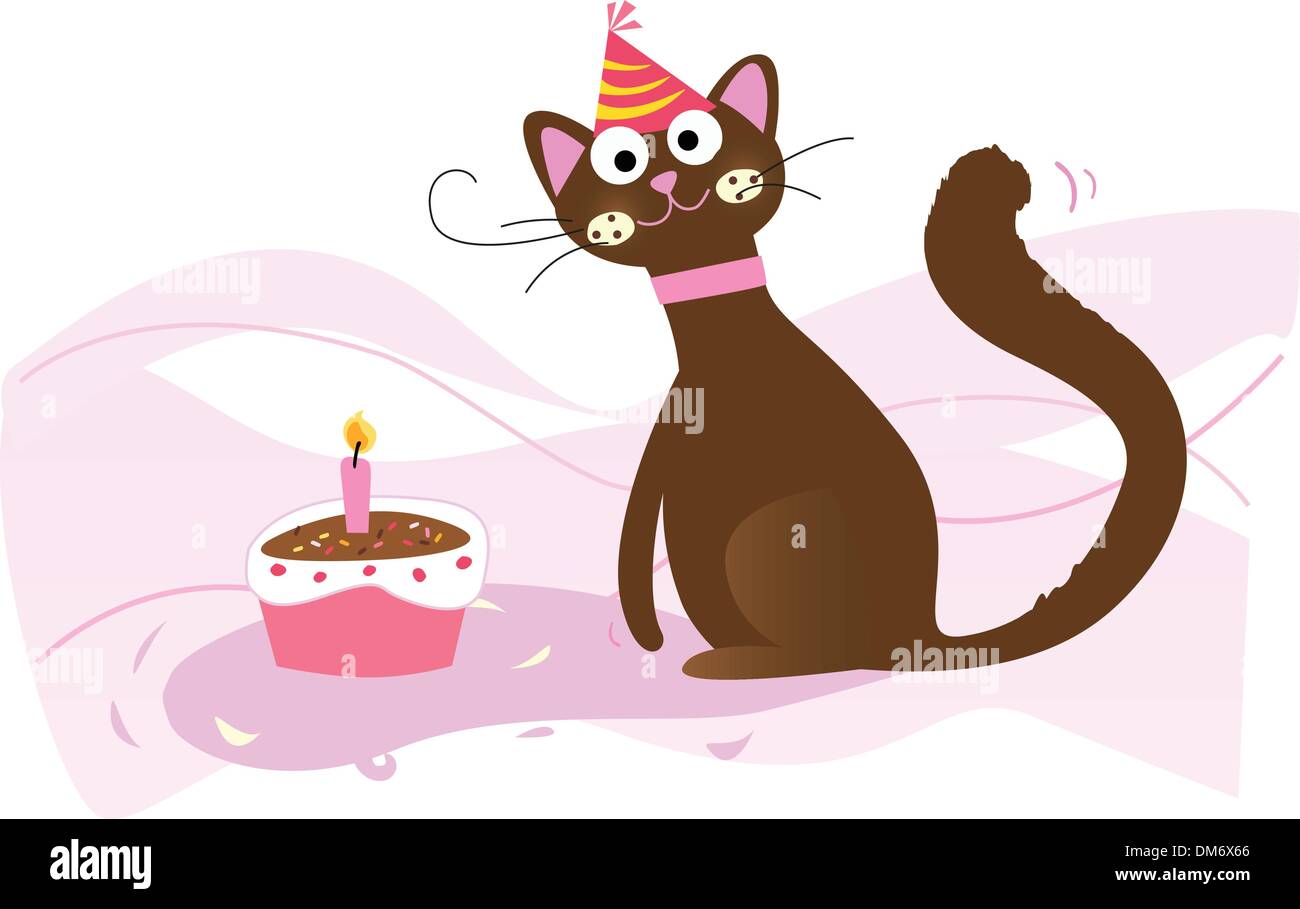 Anniversaire De Chat Banque D Image Et Photos Alamy Anniversaire De Chat Banque D Image Et Photos Alamy