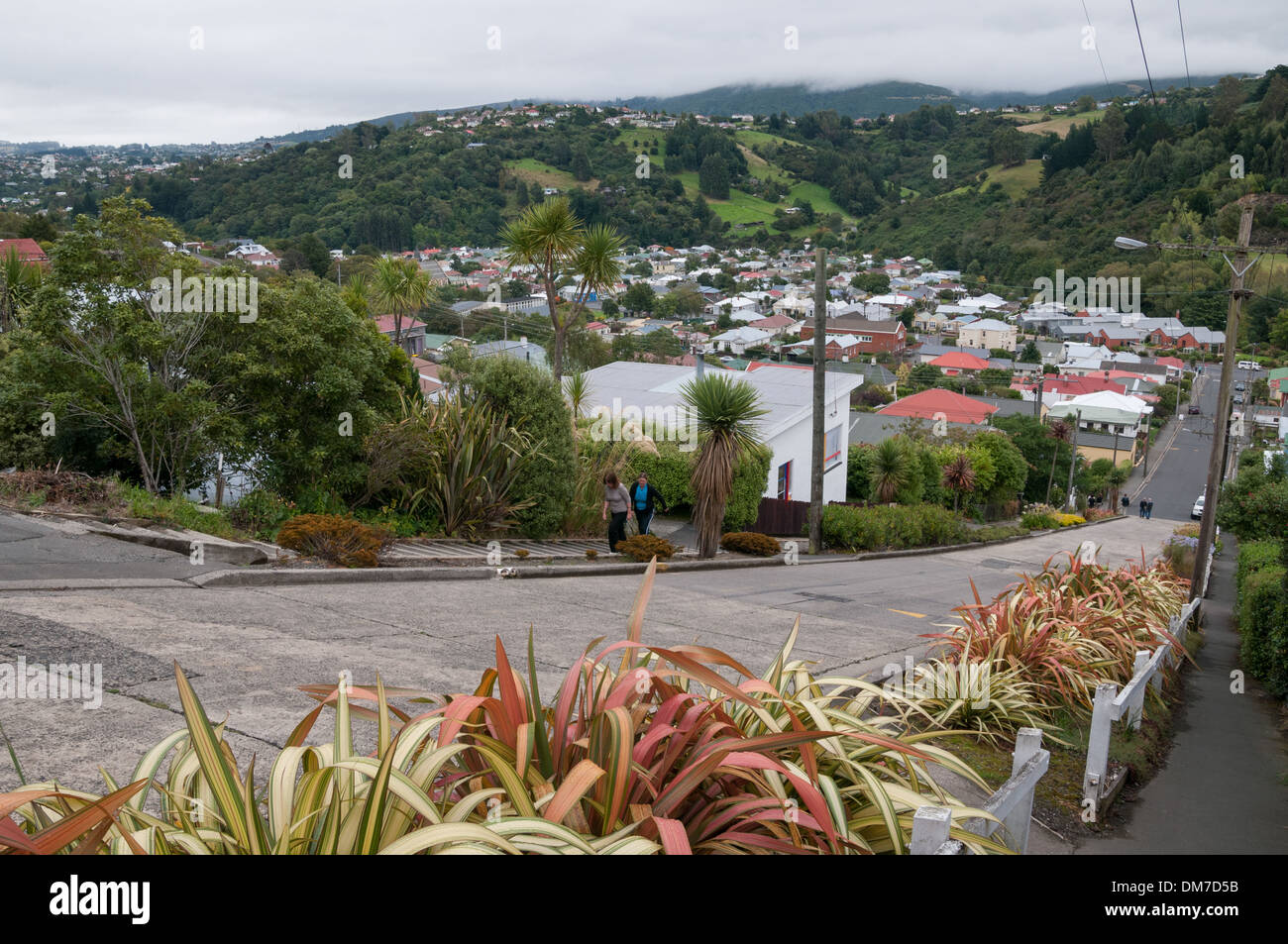 La rue la plus raide du monde, Baldwin Street, Dunedin, Otago, île du Sud, Nouvelle-Zélande. Banque D'Images