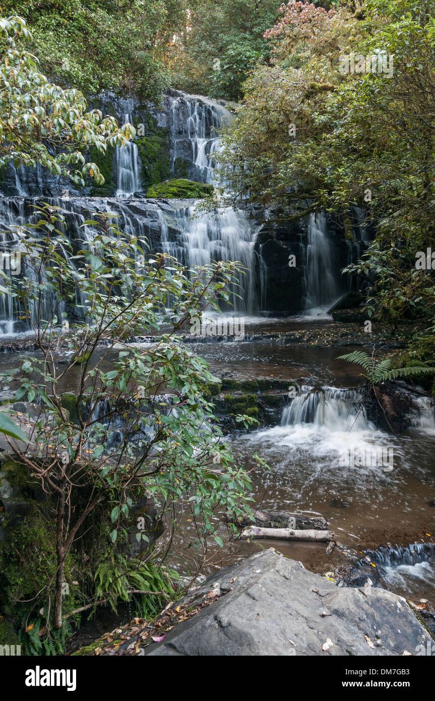 Purakaunui Falls, le Sud, Catlins Otago, île du Sud, Nouvelle-Zélande.L'île du Sud, Nouvelle-Zélande. Banque D'Images