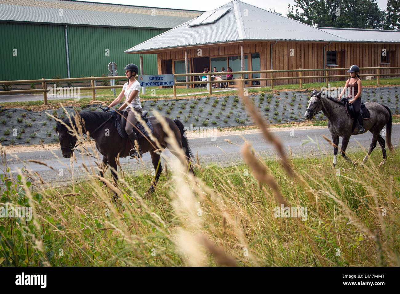 centre equestre nogent sur eure
