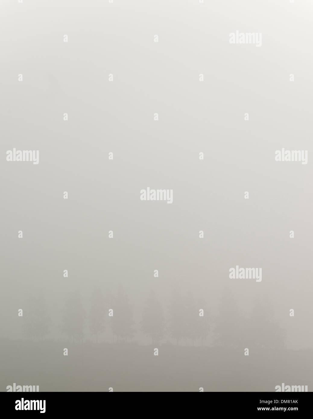 Réglage de brouillard sur Vanhakaupunkilahti, Helsinki, Finlande Banque D'Images