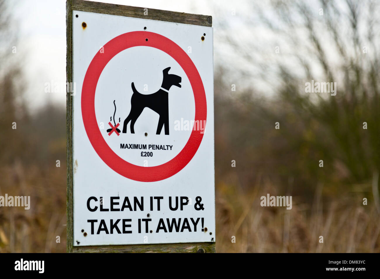 Avis de sanction de l'encrassement chien Banque D'Images