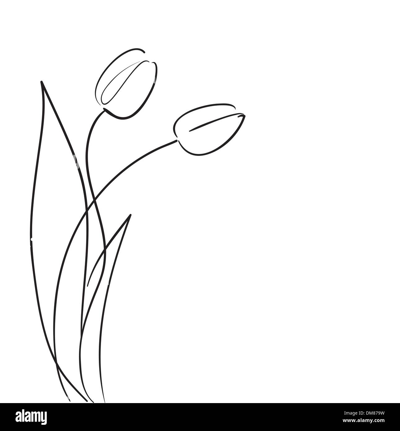 Carte de souhaits avec bouquet de fleurs Illustration de Vecteur