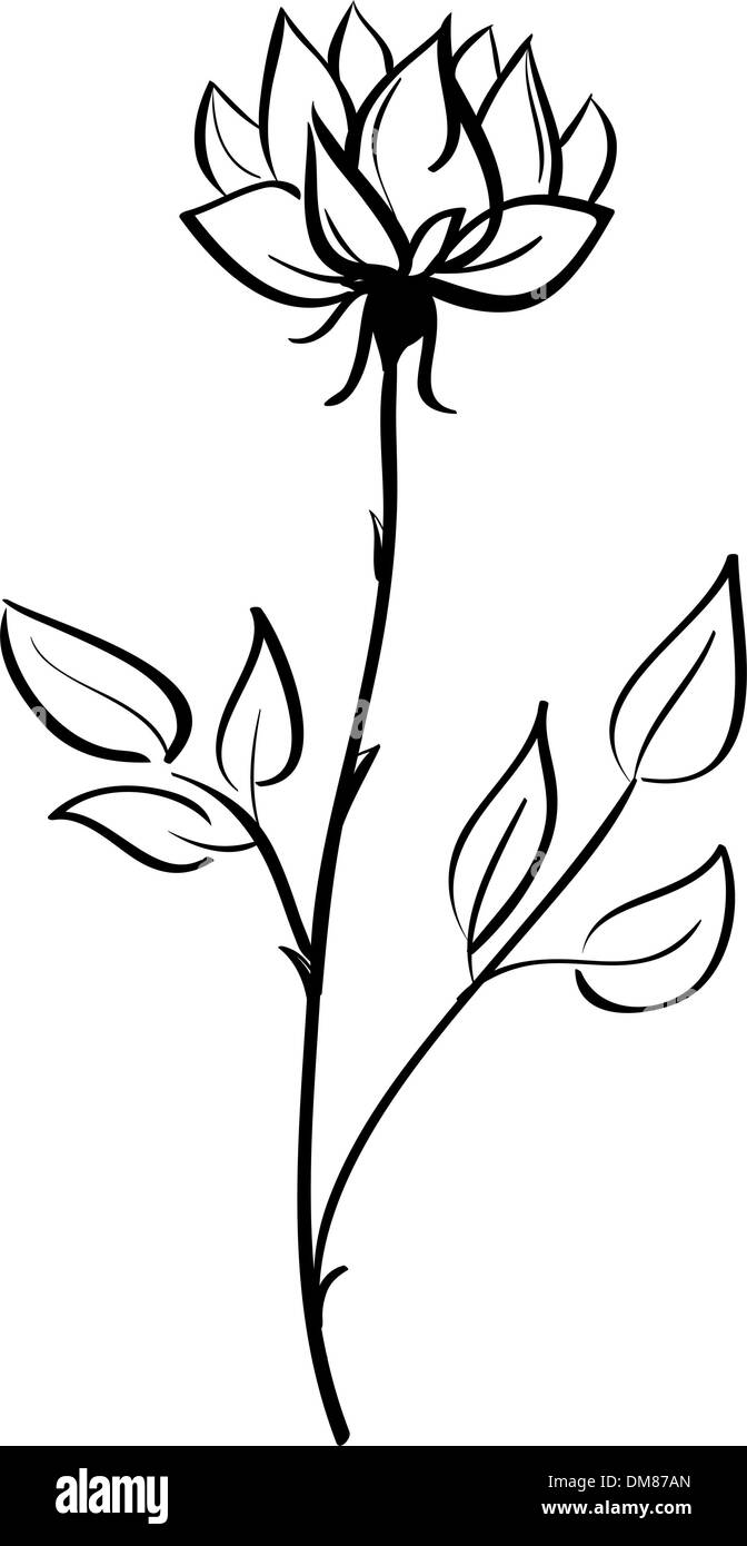 Belle fleur Illustration de Vecteur