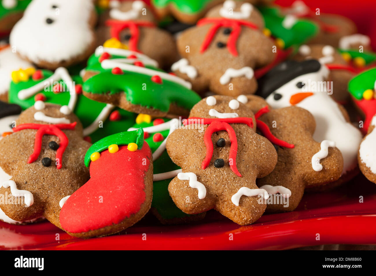 Gingerbread Cookies de Noël glacé traditionnel avec des arbres et des bonhommes de neige Banque D'Images