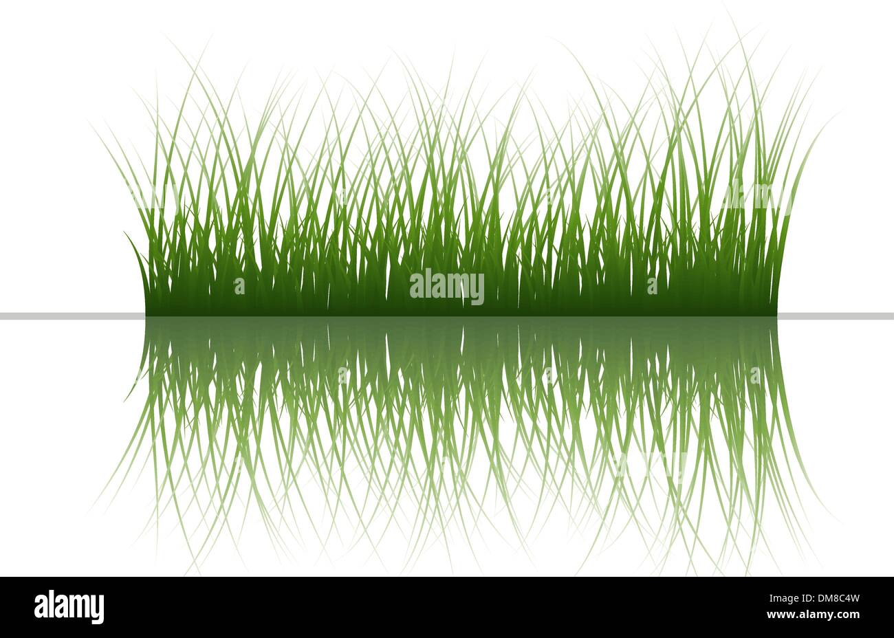l’herbe sur l’eau Illustration de Vecteur