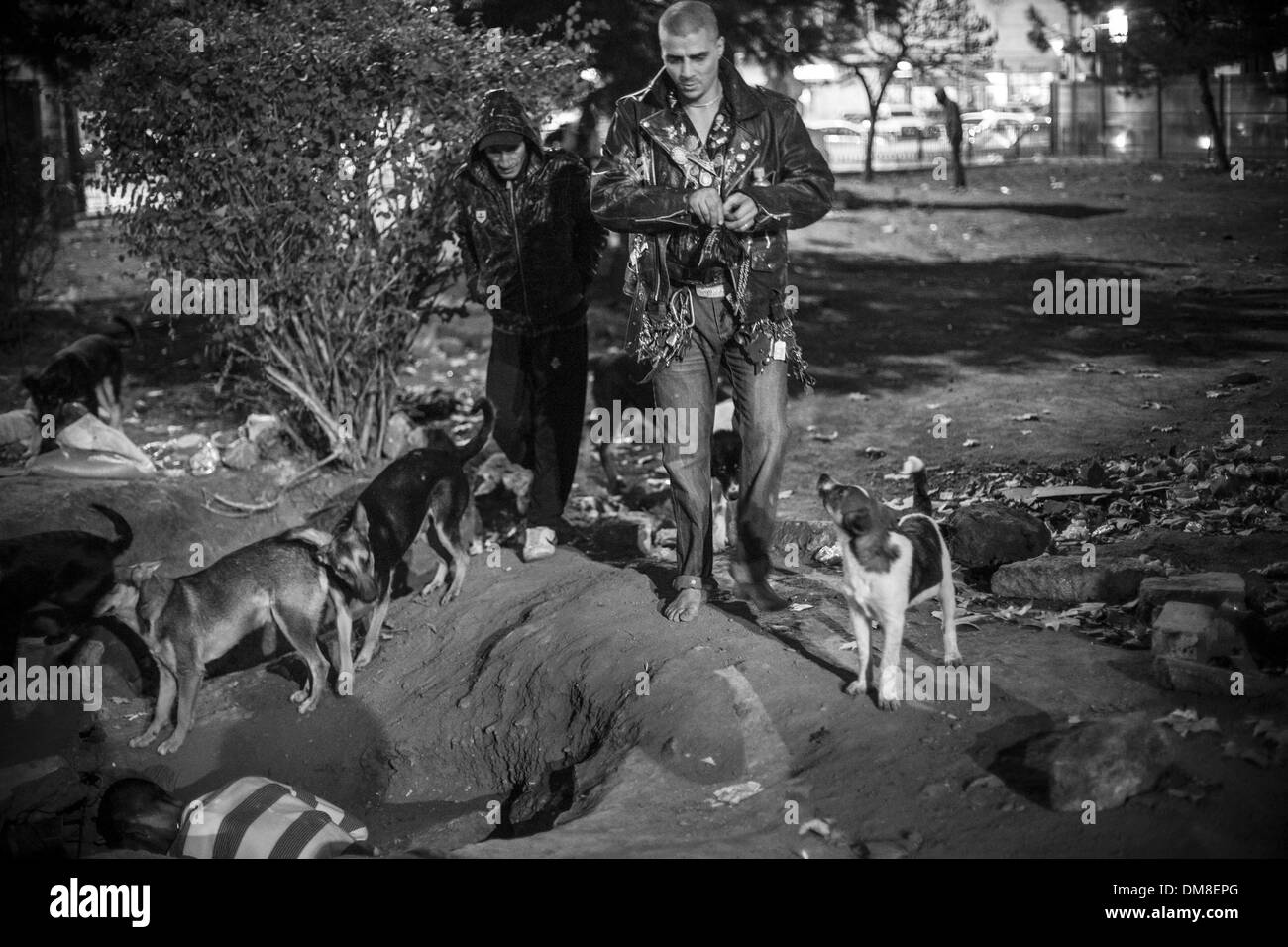 Bucarest, Roumanie. 23 nov., 2013. ''Bruce Lee'' qui est habituellement entouré par une meute de chiens errants, est le chef de la jeunes toxicomanes qui se rassemblent dans un parc à proximité de la gare Gara de Nord à Bucarest. Il est connu pour avoir porté des centaines de clés, allant pieds nus.Photo : Jodi Hilton/NurPhoto NurPhoto © Jodi Hilton//ZUMAPRESS.com/Alamy Live News Banque D'Images