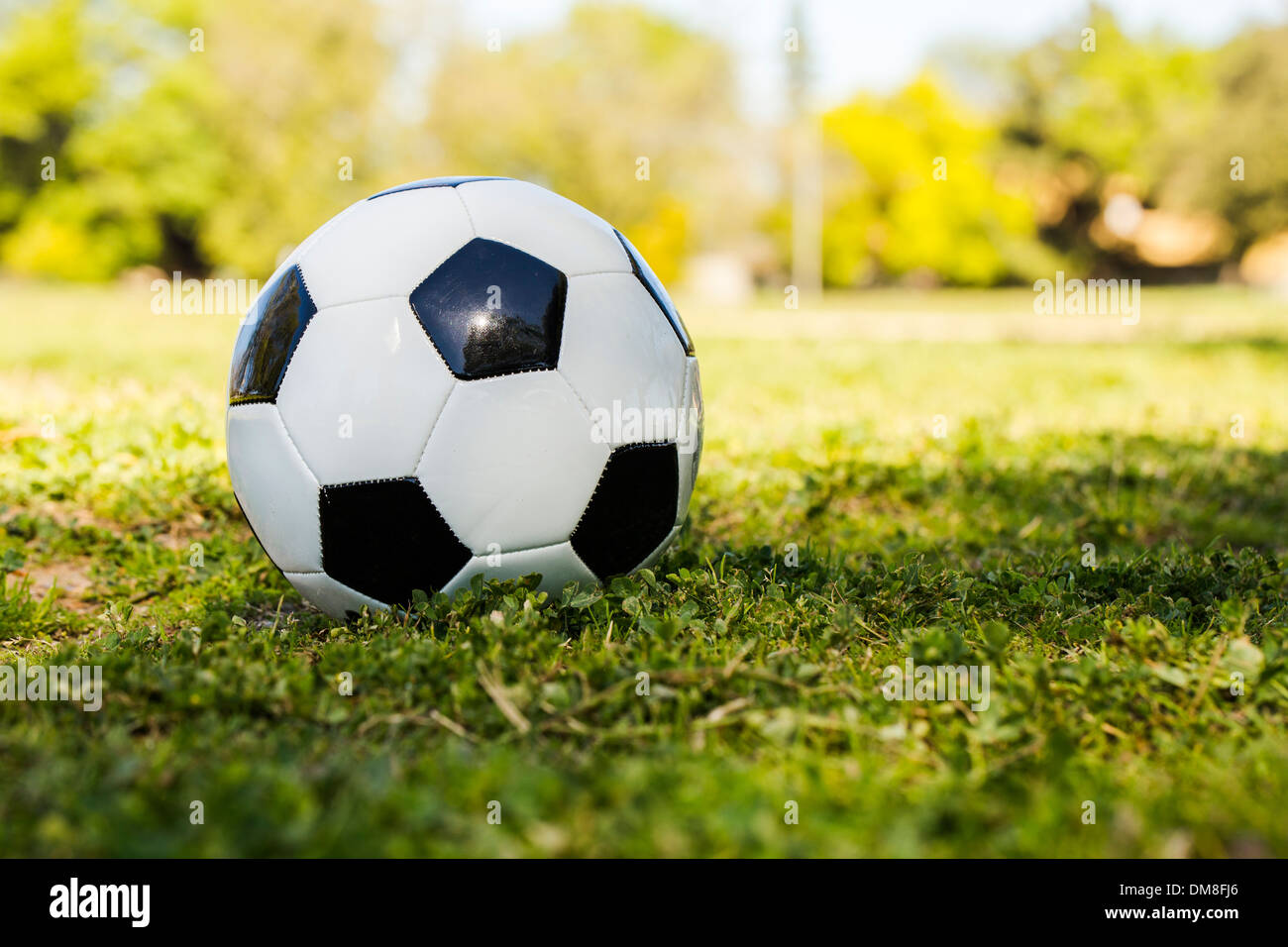 Ballon de soccer sur l'herbe Banque D'Images
