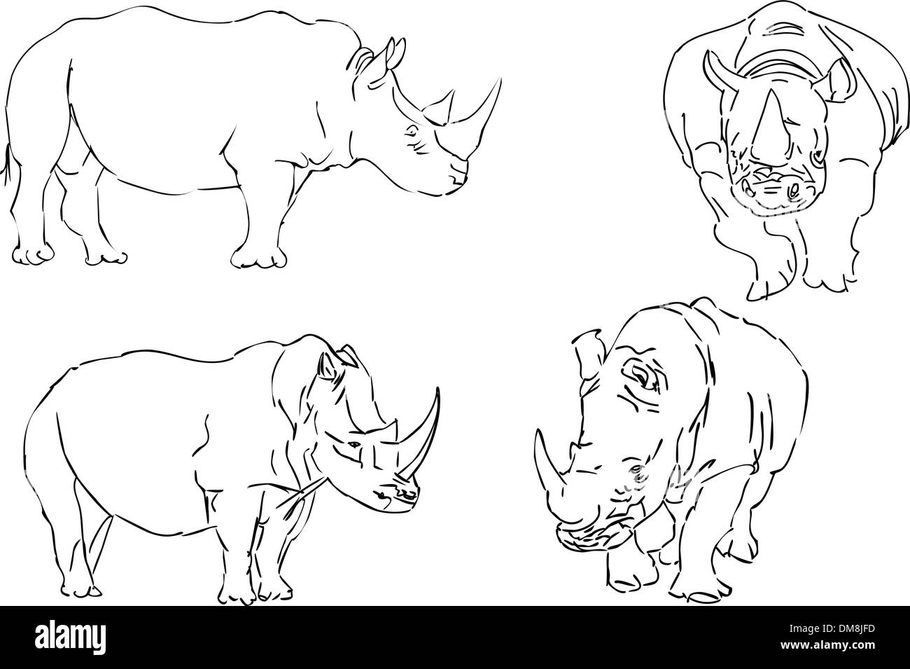 Croquis d'illustration vectorielle de rhino Illustration de Vecteur