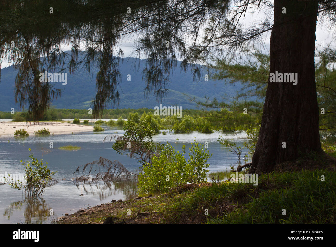 SCENINC côtières près de la mer d'Andaman - LE SUD DE LA THAÏLANDE Banque D'Images