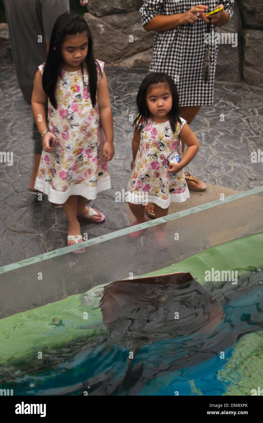 Les enfants thaïlandais profitez de l'affichage une raie à l'aquarium de Rayong Rayong, THAÏLANDE - Banque D'Images