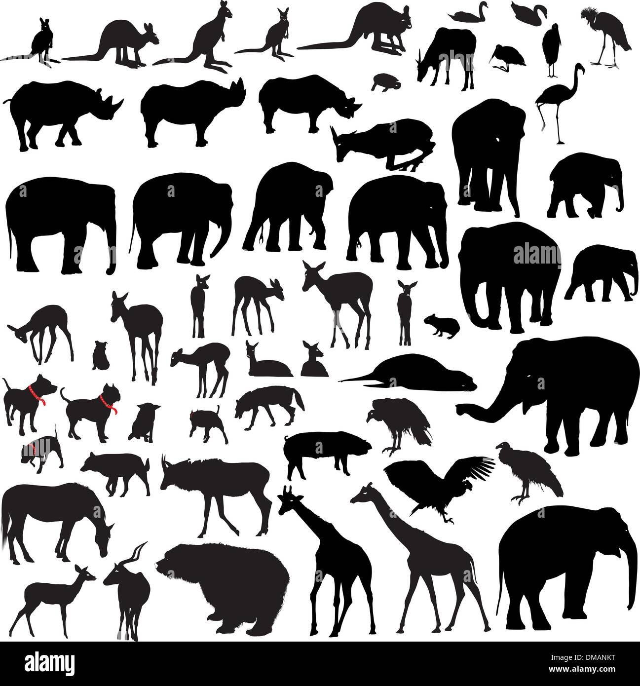 Silhouettes vecteur animal Illustration de Vecteur