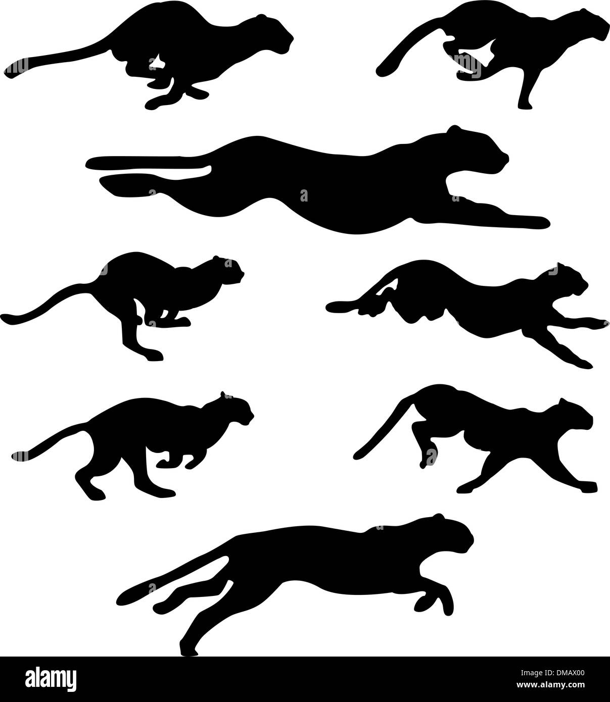 jeu de chats sauvages Illustration de Vecteur