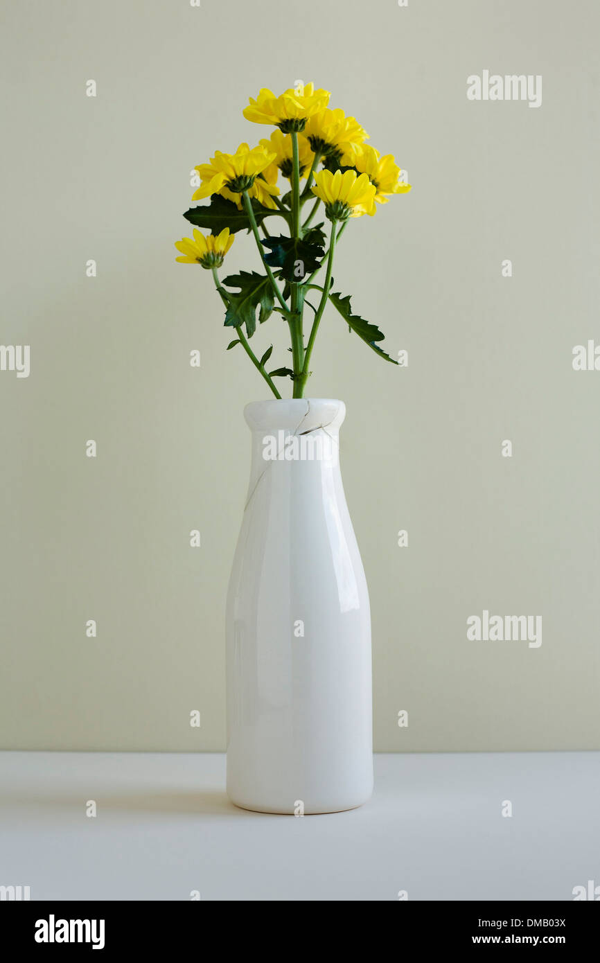Bouquet de chrysanthèmes jaunes dans un vase endommagé sur fond crème. Banque D'Images