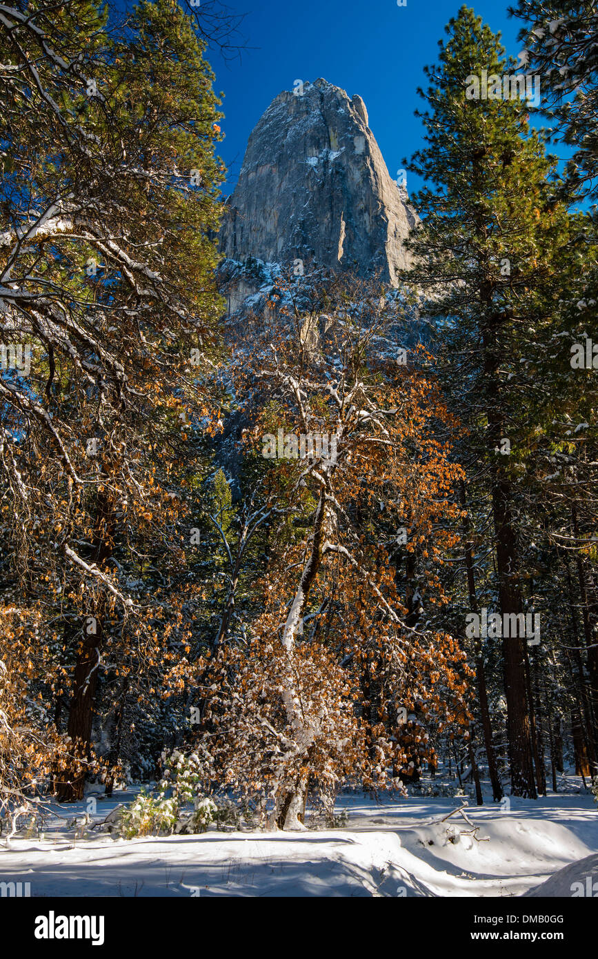 Paysage de neige de l'hiver avec les roches de la cathédrale derrière, Yosemite National Park, California, USA Banque D'Images