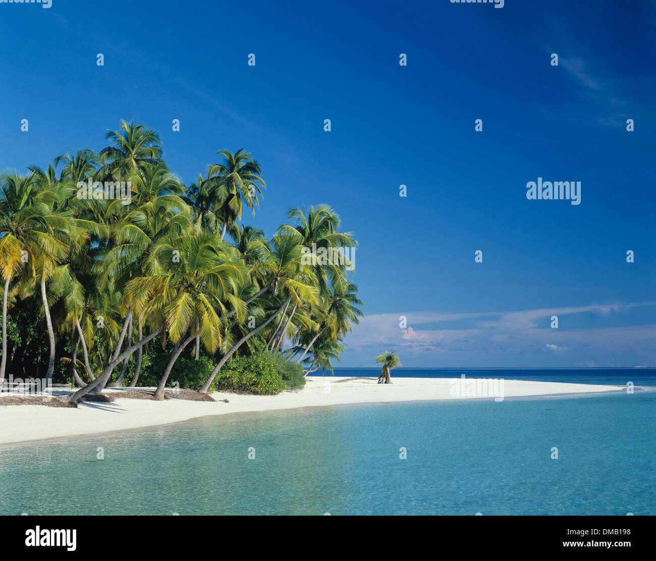 Maison de vacances resort montrant Plage et palmiers, Maldives Banque D'Images