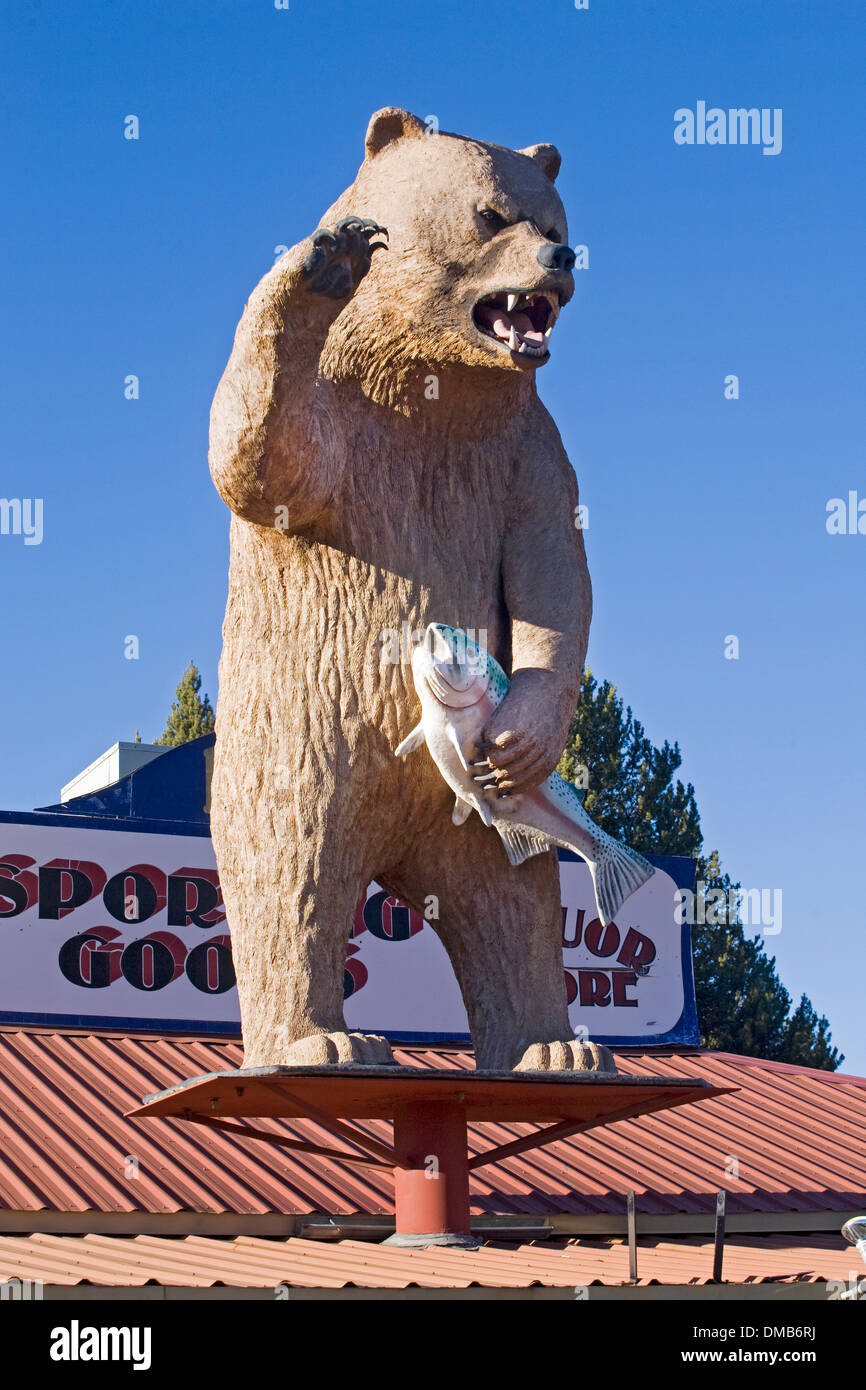 Un grizzly avec un saumon au sommet d'un magasin d'articles de sport dans la région de Gilchrist, Oregon Banque D'Images