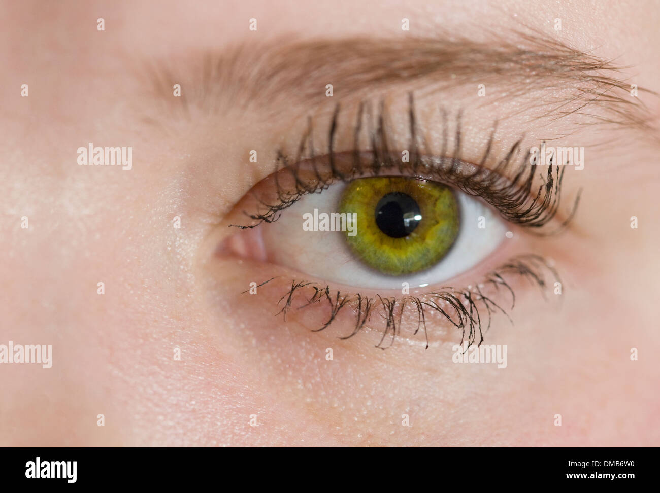 Close up d'un œil humain Banque D'Images