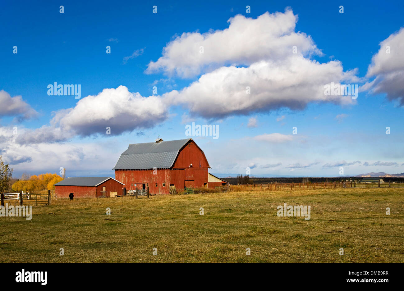 Une vieille grange rouge et fluffy clouds sur une ferme dans le centre de l'Oregon. Banque D'Images