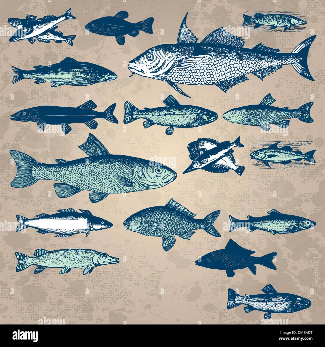 Vintage jeu de poisson (vecteur) Illustration de Vecteur