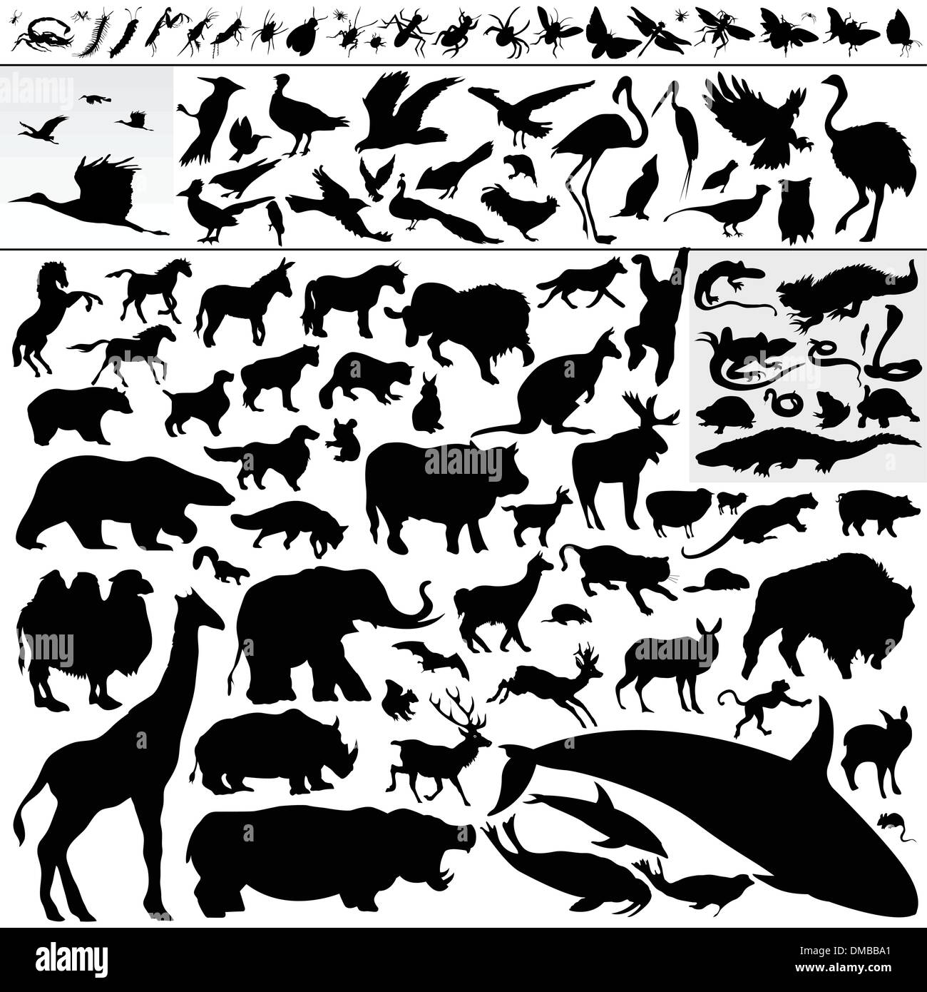 animaux Illustration de Vecteur