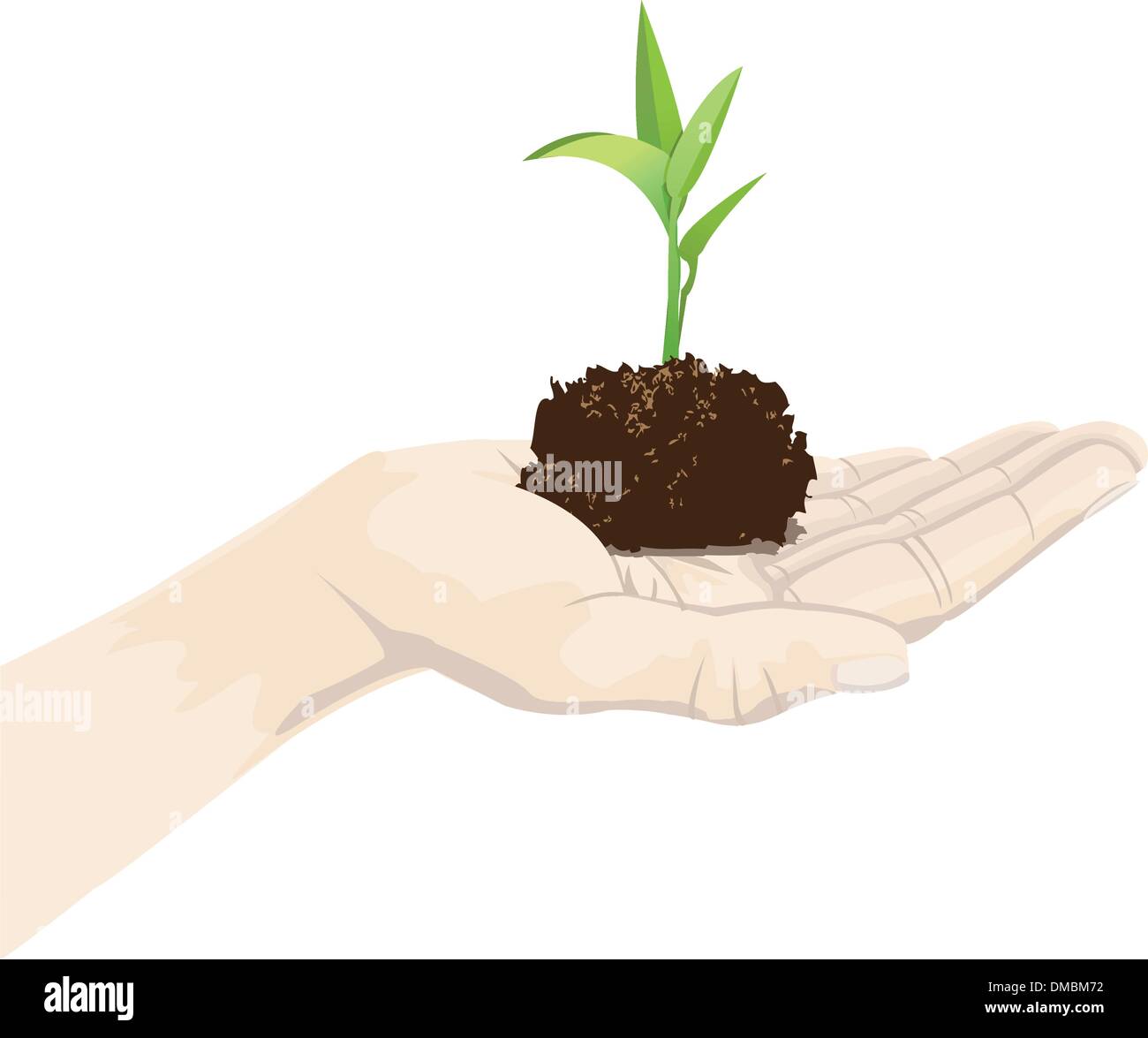 planter sur palm Illustration de Vecteur