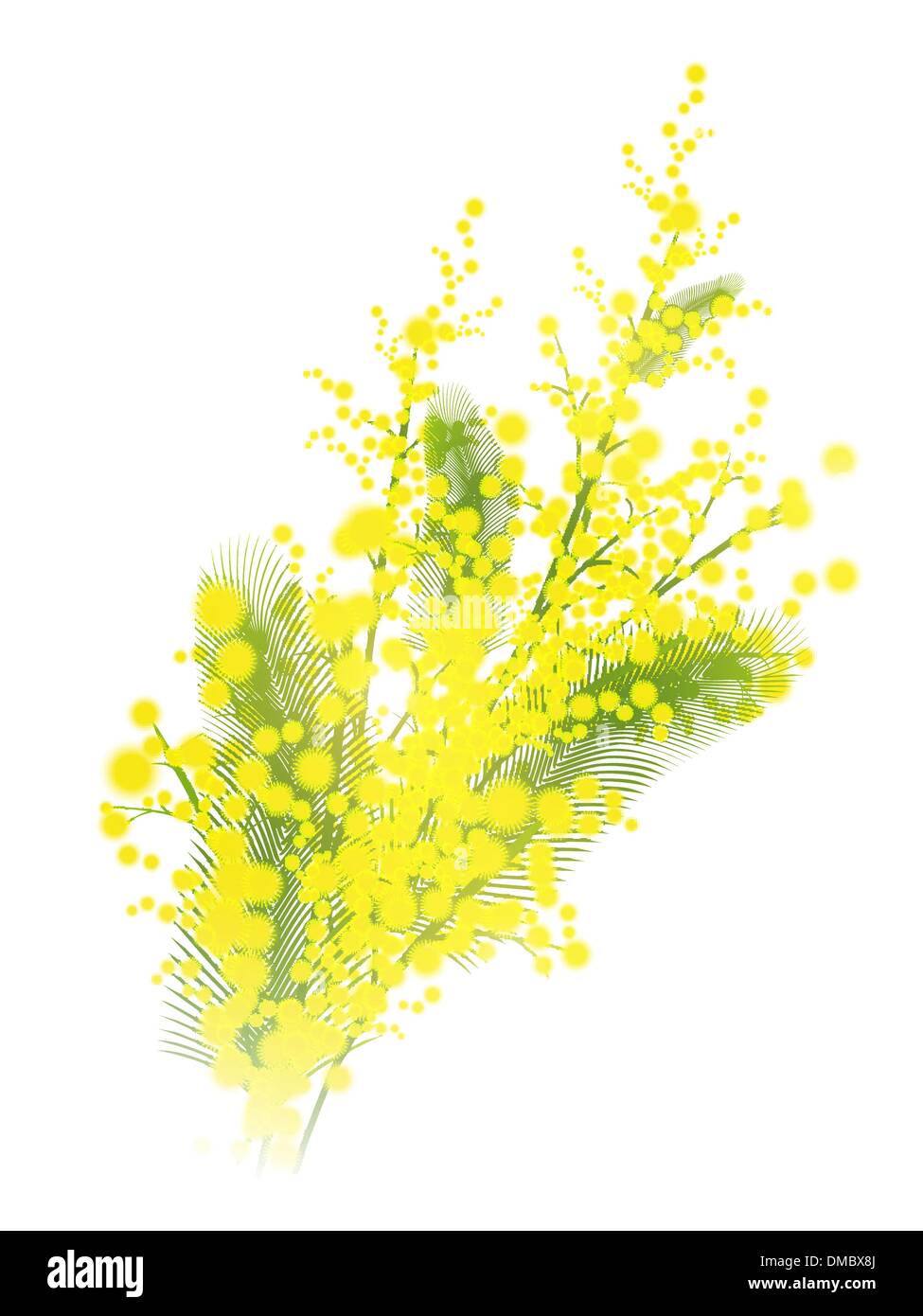Mimosa Illustration de Vecteur