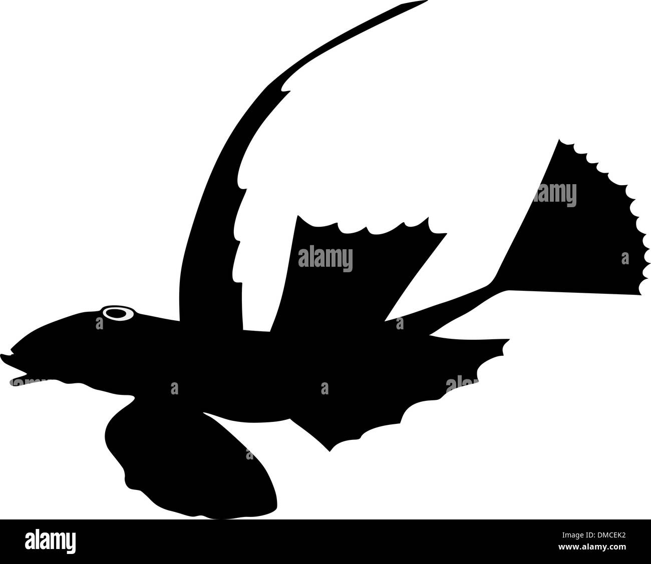 Silhouette de moindre dragonet Illustration de Vecteur