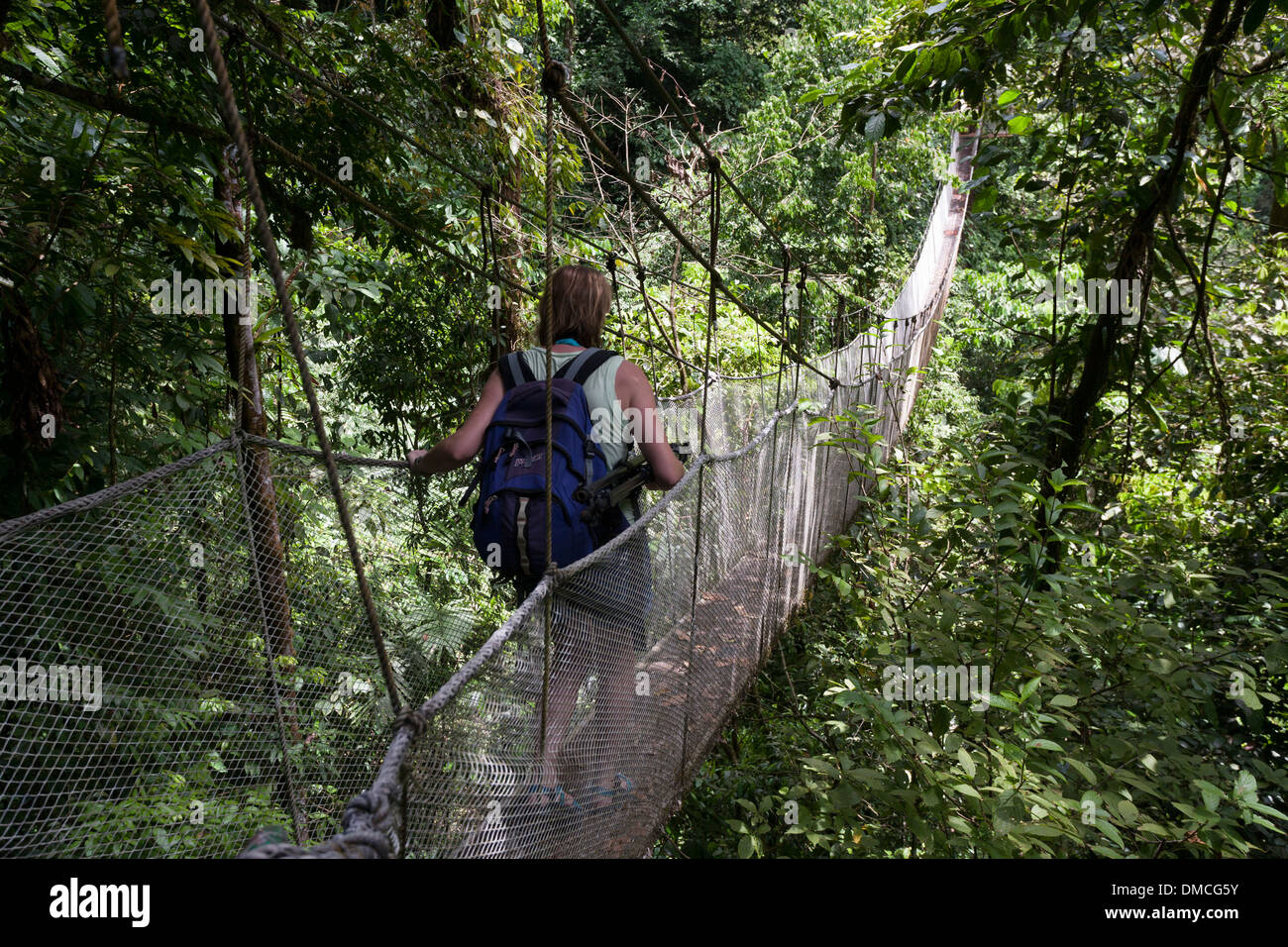 Les passerelles suspendues dans le couvert forestier à la Rainmaker Conservation Project au Costa Rica Banque D'Images