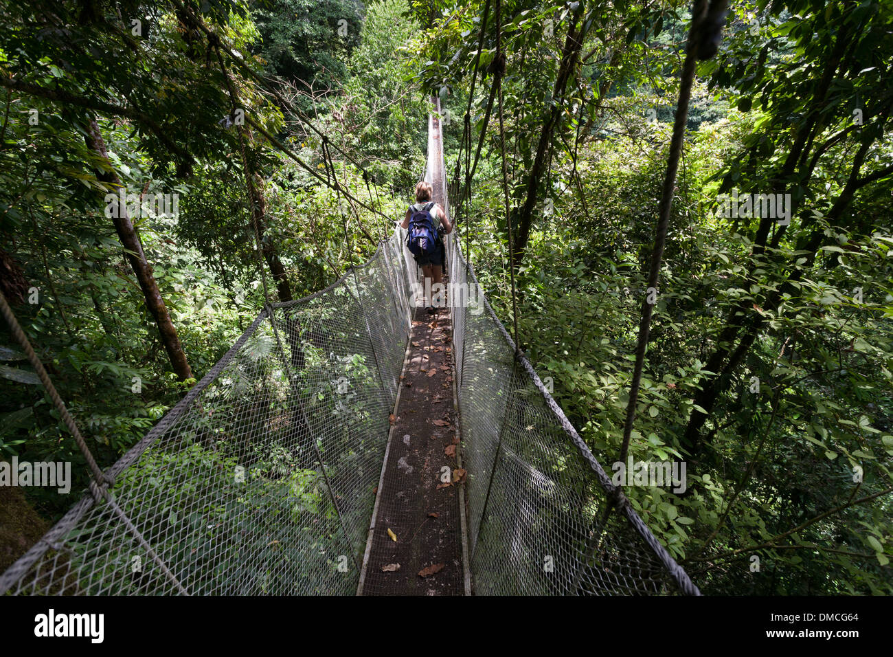 Les passerelles suspendues dans le couvert forestier à la Rainmaker Conservation Project au Costa Rica Banque D'Images