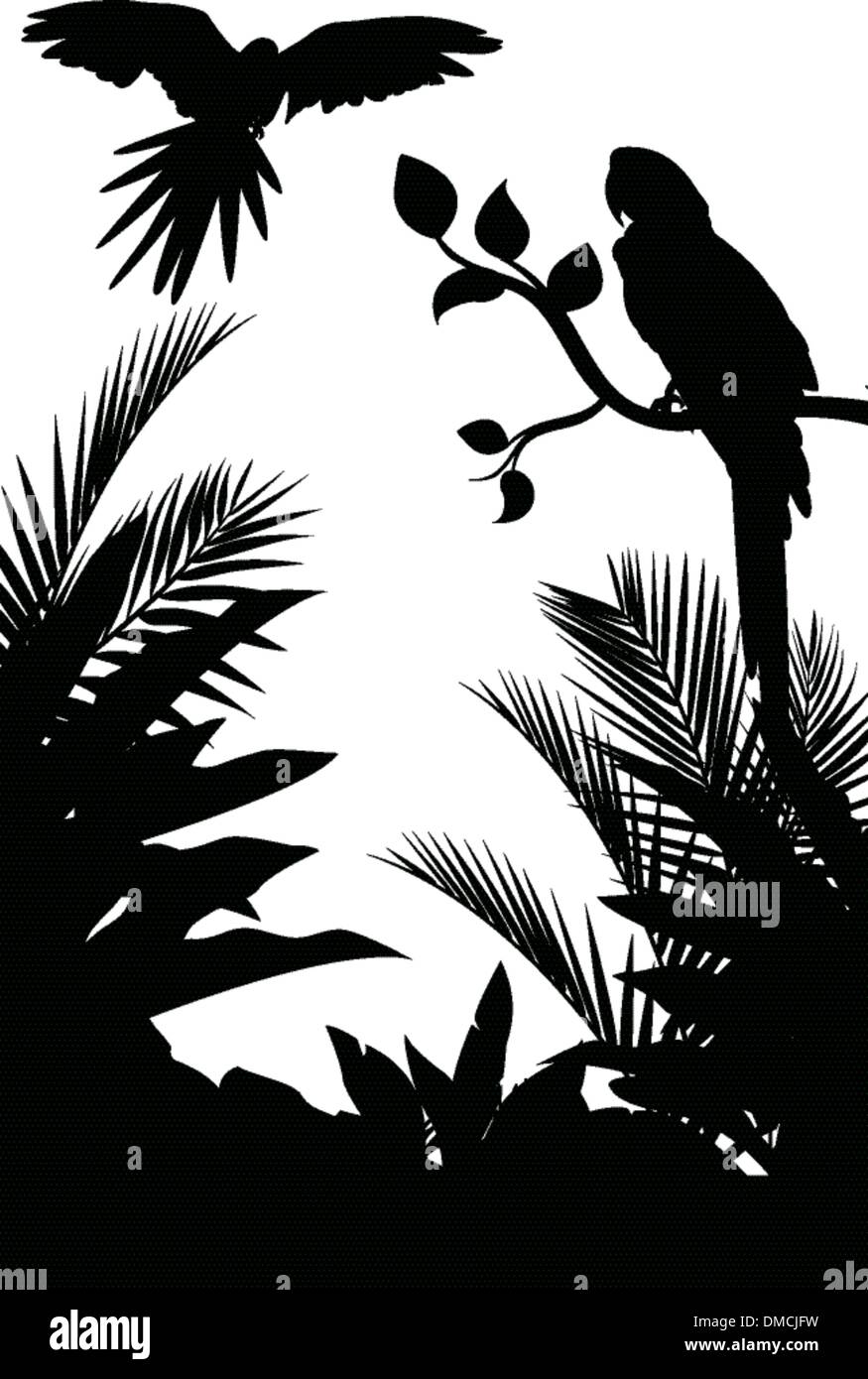 Silhouette d'oiseaux tropicaux avec jardin contexte Illustration de Vecteur