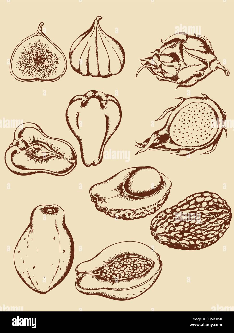 Fruits tropicaux vintage Illustration de Vecteur