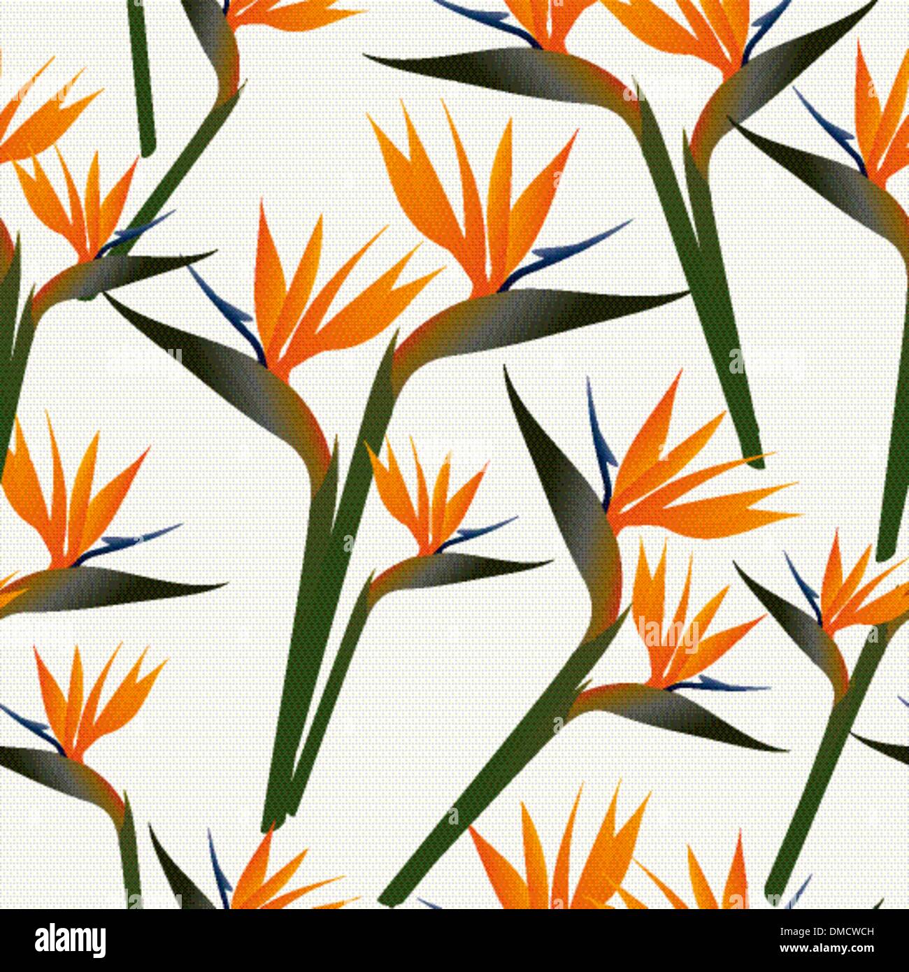 Oiseau de paradis fleurs Illustration de Vecteur