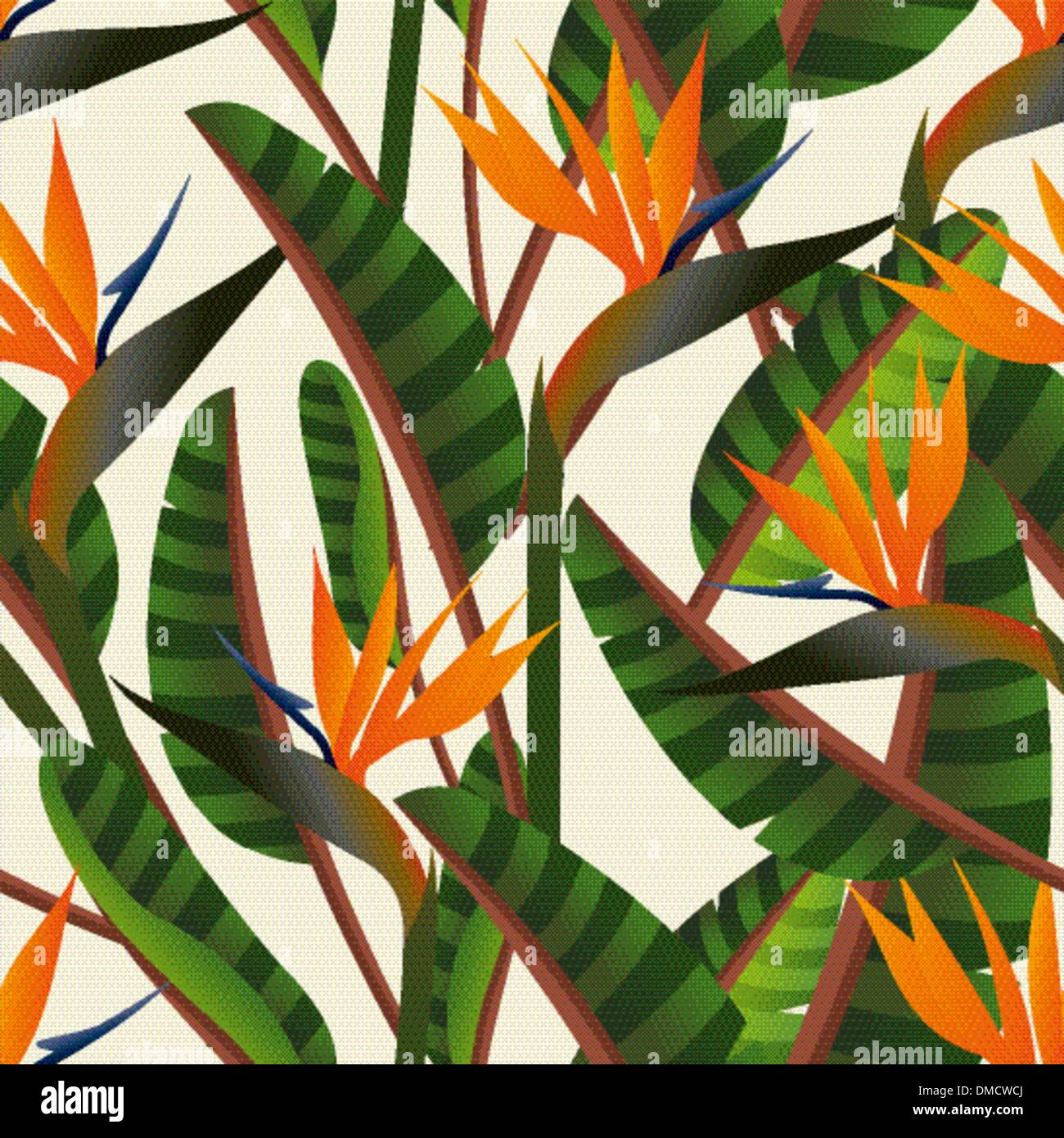 Oiseau du Paradis fleurs Illustration de Vecteur
