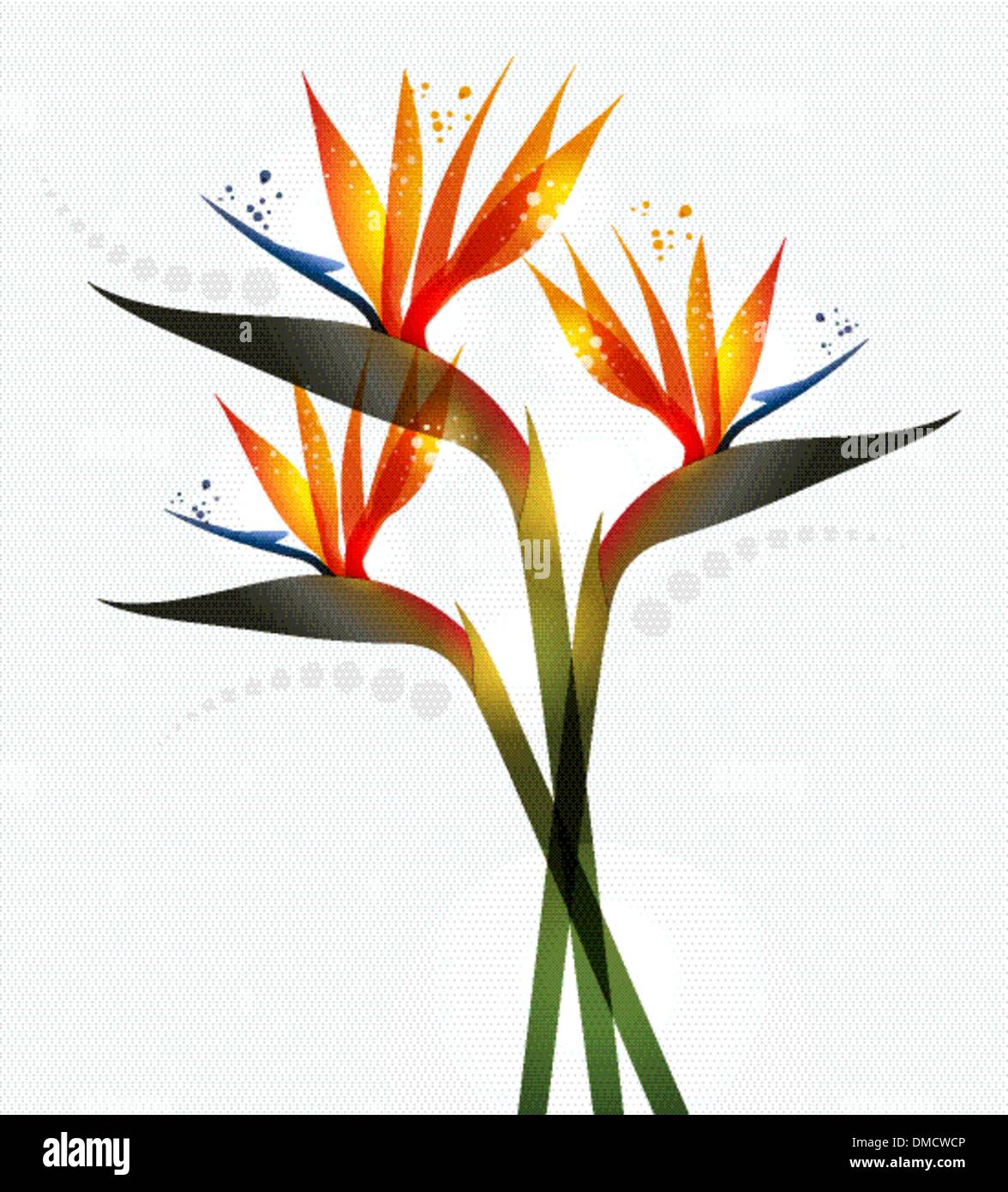 Bird of Paradise flower Illustration de Vecteur