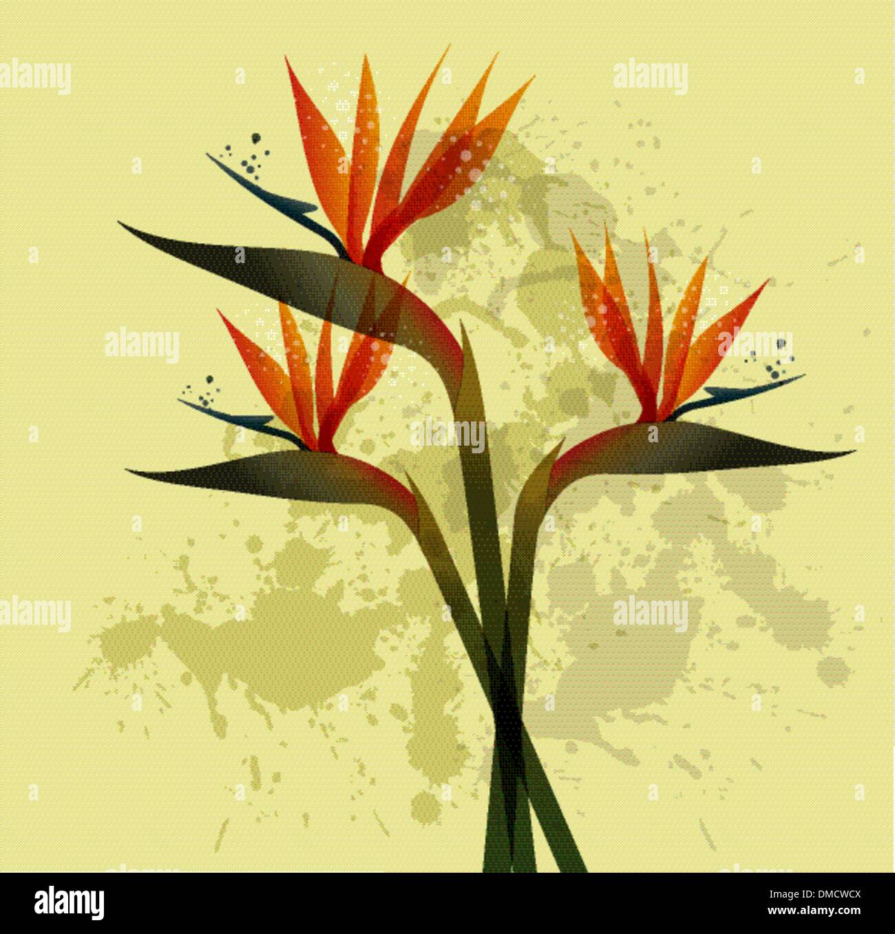 Bird of Paradise flower plus grunge background Illustration de Vecteur