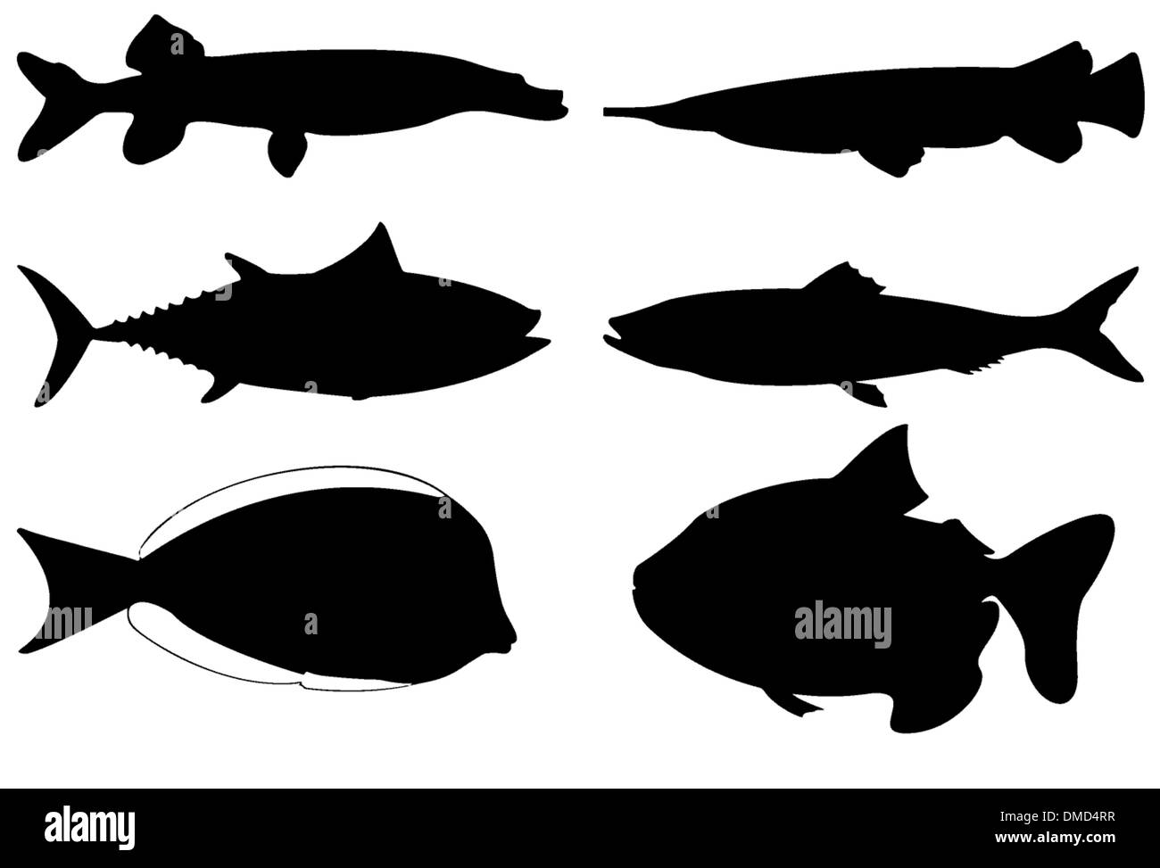 Silhouette de mer et poissons de rivière Illustration de Vecteur