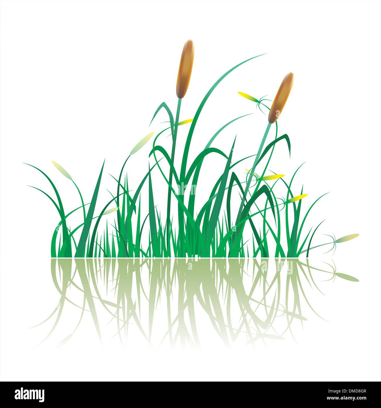 Libre de plantation de canne à sucre Illustration de Vecteur