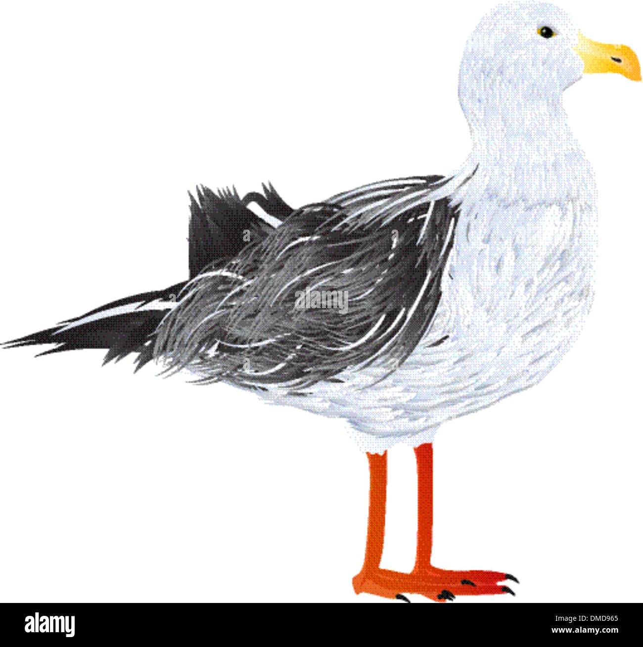 Mouette Illustration de Vecteur