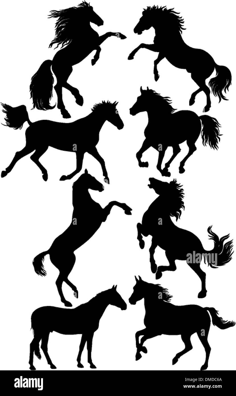 Silhouettes de chevaux Illustration de Vecteur