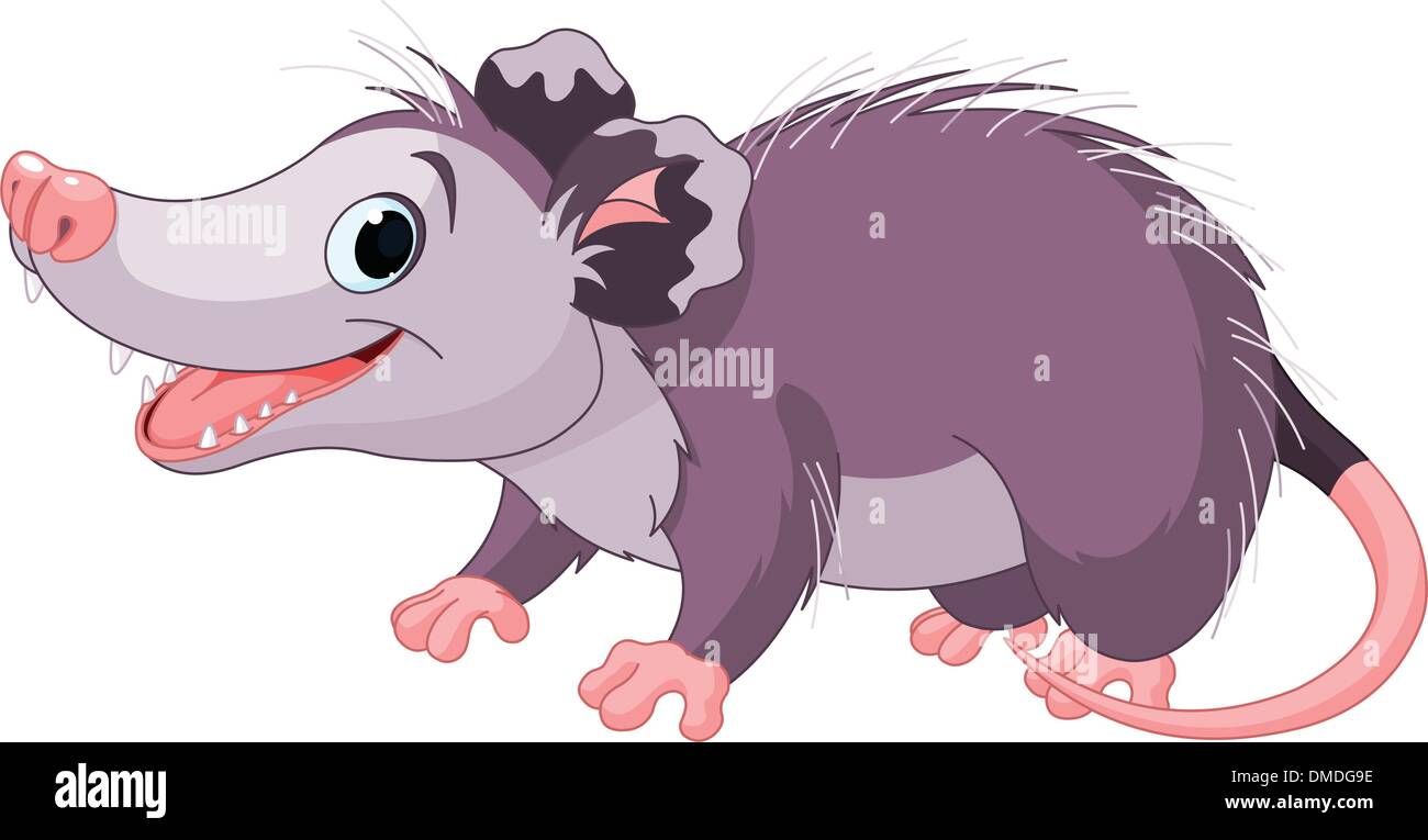 Opossum Illustration de Vecteur