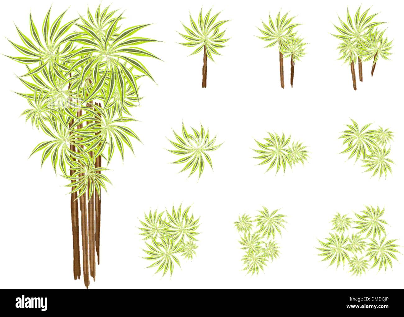 Un ensemble d'arbre ou isométrique du Yucca Plante Dracaena Illustration de Vecteur