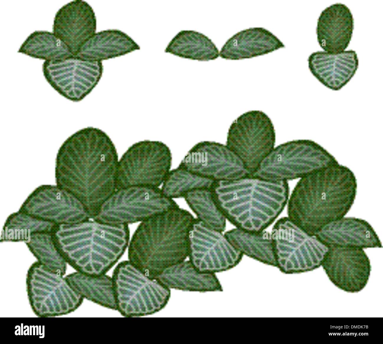 Un ensemble de plantes nerveuses sur fond blanc Illustration de Vecteur