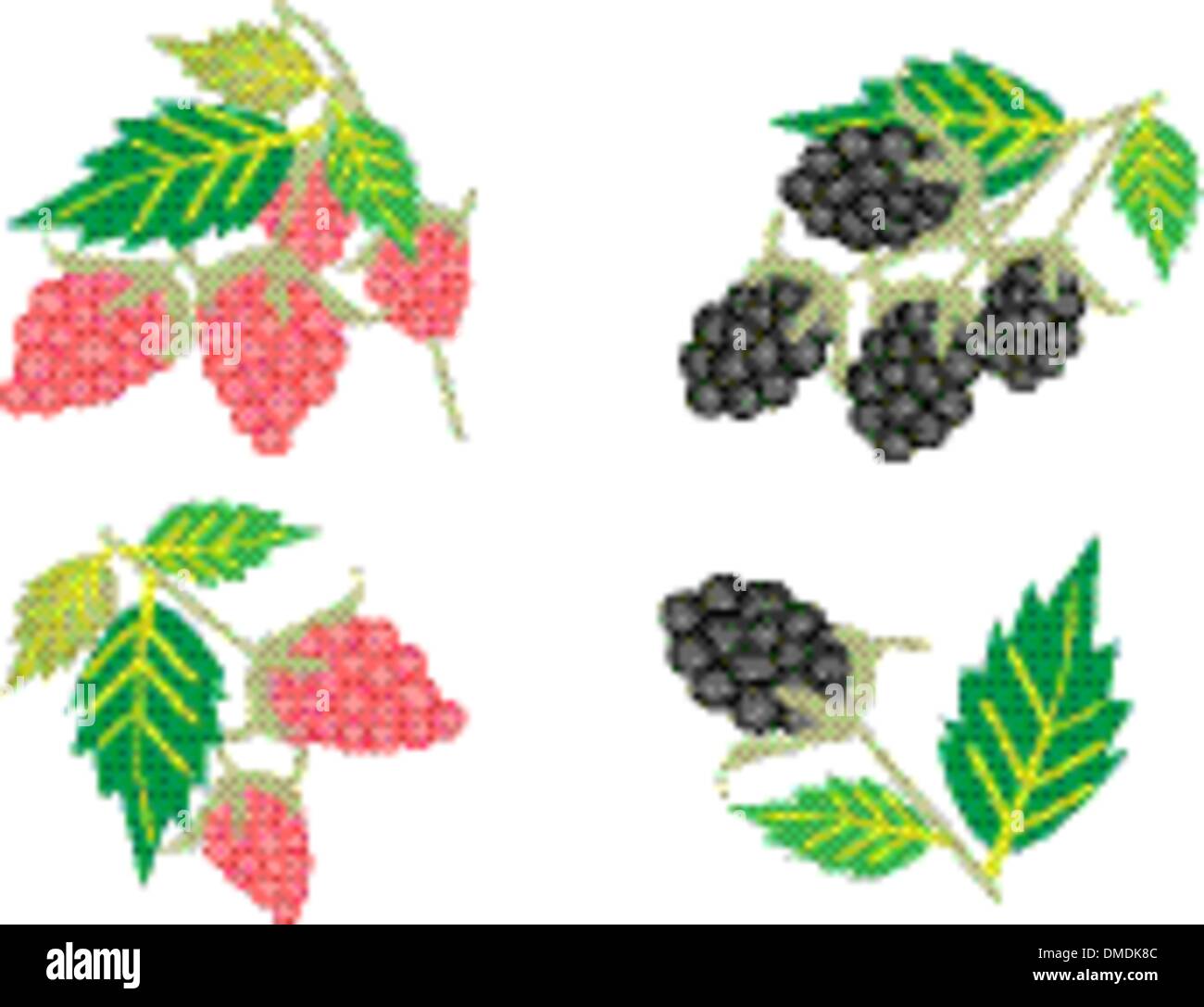 Ensemble de framboise et de Blackberry sur fond blanc Illustration de Vecteur